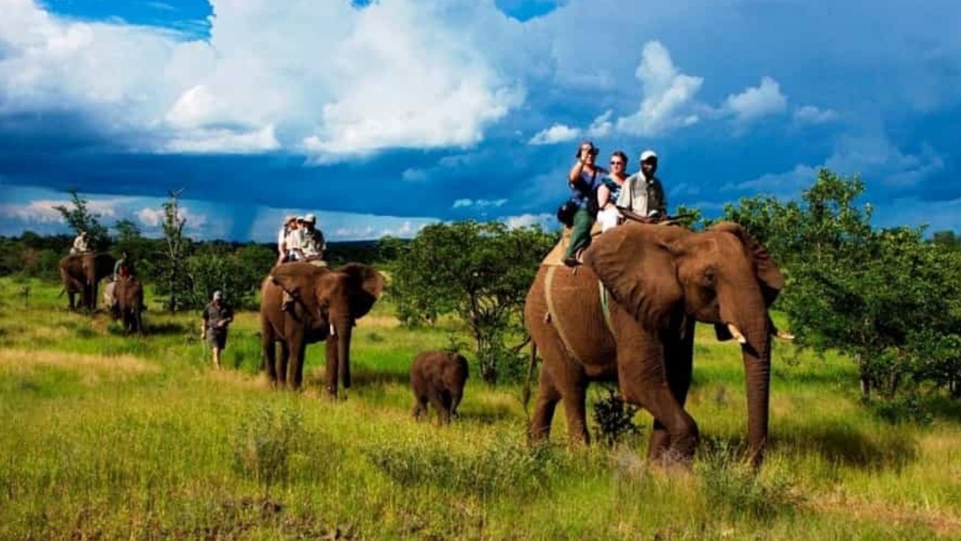 Indian Safari Guide & Tips