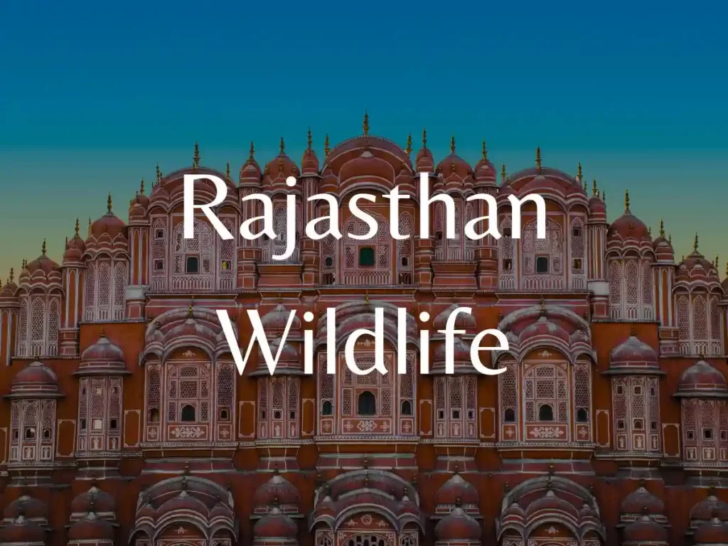 Rajasthan Wildlife tour