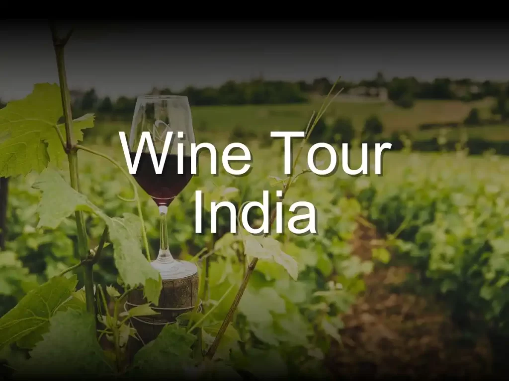 Wine Tour in India