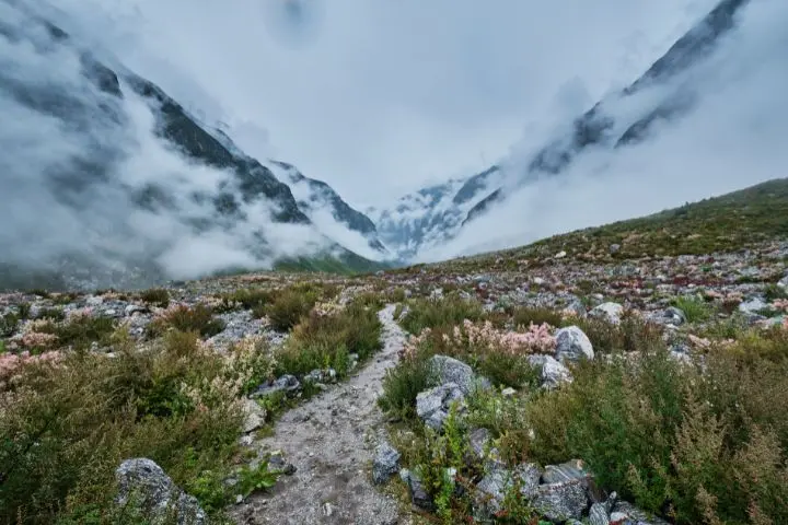 Valley of Flowers Trek