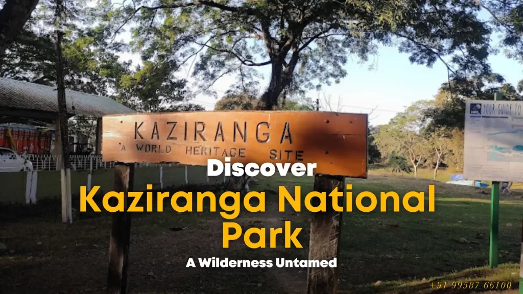 Kaziranga National park