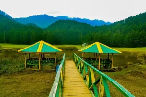 Khajjiar Tour (4)