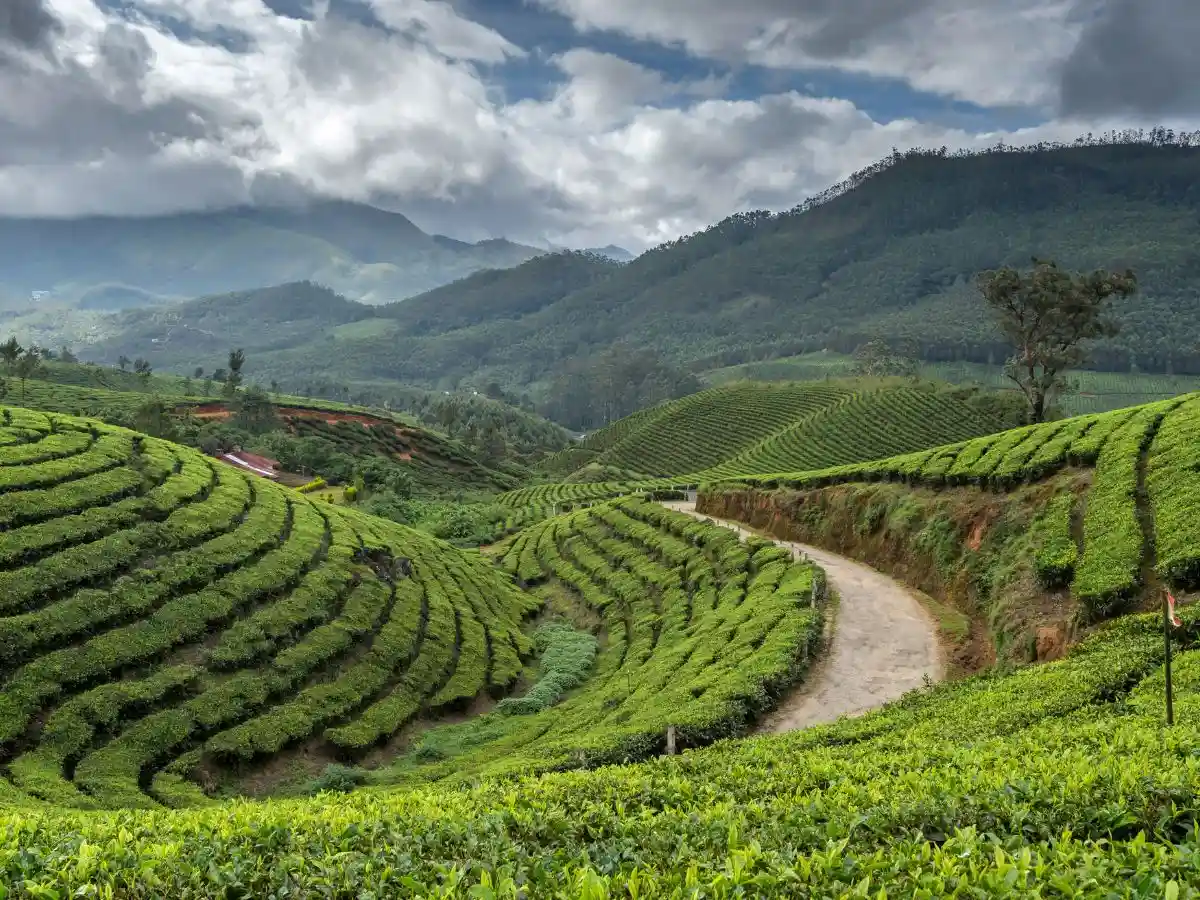 Munnar Mini Switzerland of India - Places like Switzerland