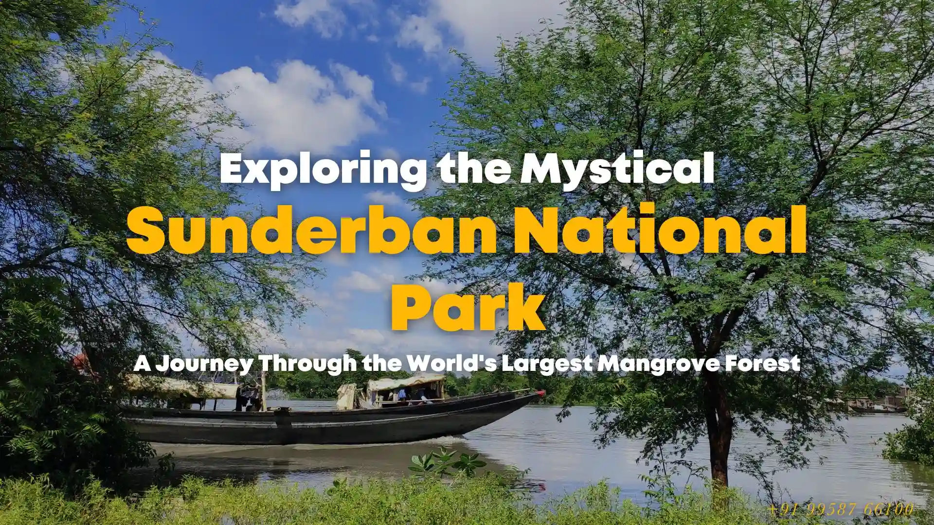 Exploring the Mystical Sundarban National Park