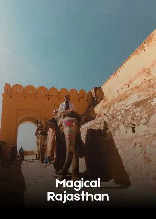 Rajasthan Tour - India Tour and India Travel