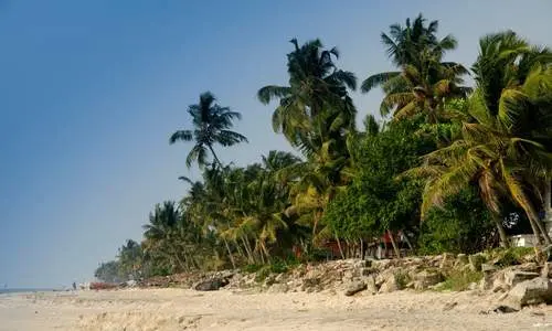 Alleppey Tour, Boathouse Tour, India Tour and india Travel (3)