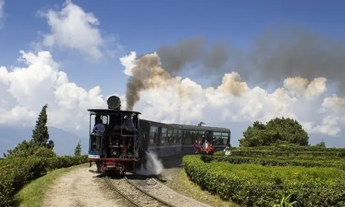 Darjeeling Tour package, India Tour and India Travel (5)