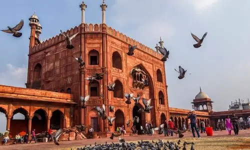 Delhi, India Tour, Place to visit in india (4)
