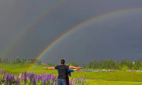 Gulmarg India Tour Package from UK