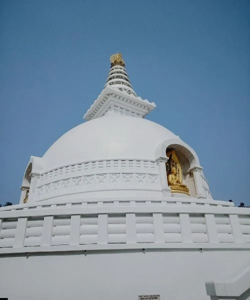 Buddhist Circuit Tour package (2)