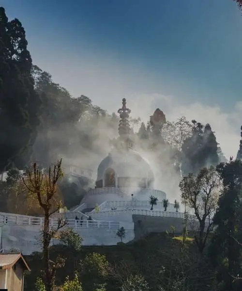 Darjeeling Tour Packages for Foreigners (3)