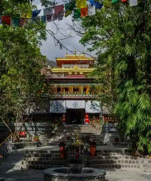 Himachal Tour Packages