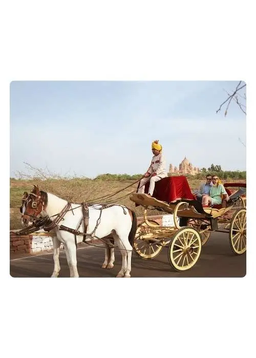 Umaid Bhawan palace Hotel in Jodhpir Booking Rooms and Stay (4)