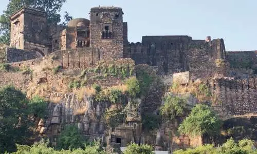 Wildlife Tour Package, Ranthambore National park (1)