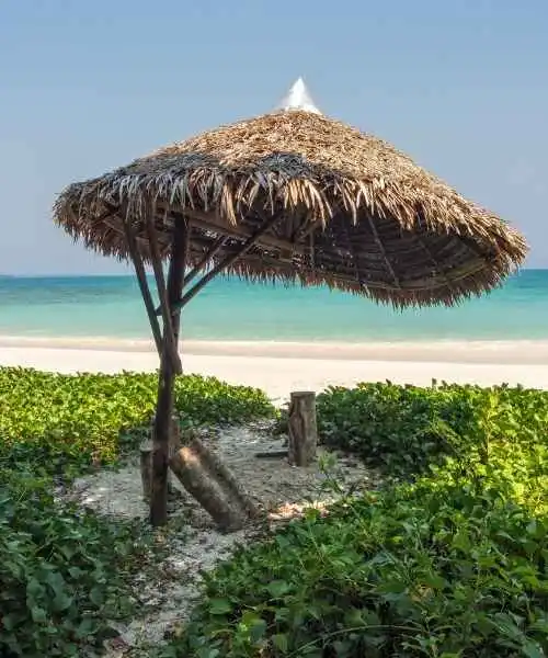 Andaman Nicobar Tour packages (3)
