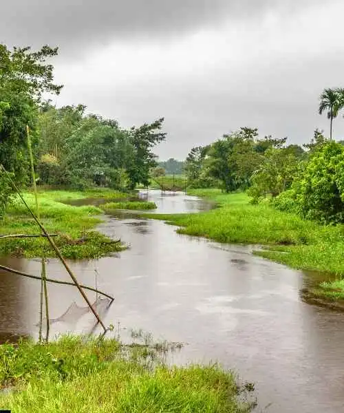 Assam Tours & Sundarbans Tour Packages (3)