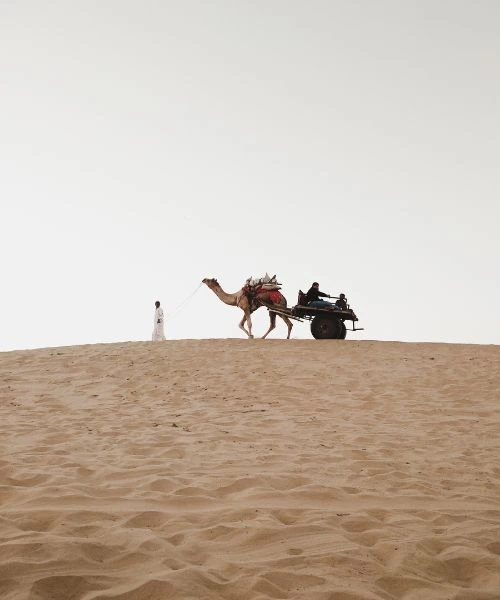 Rajasthan Tour Packages (3)
