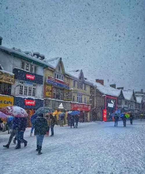 Golden Traingle Tour with Shimla Tour, india Travel (2)