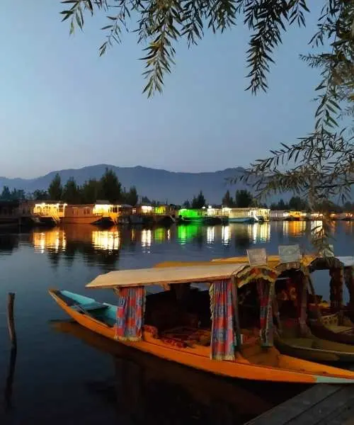 Srinagar Tour, Ladakh Tour Package (2)