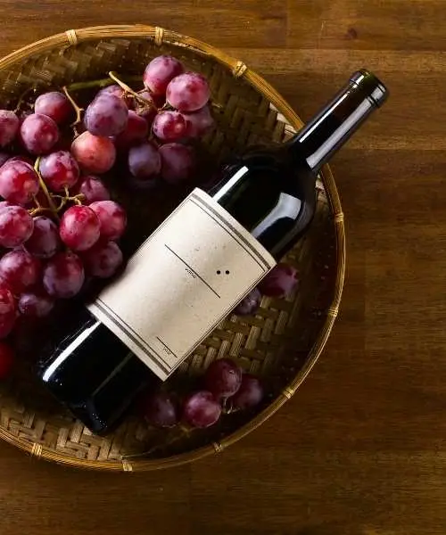 Wine Tour in India, India Travel (2)