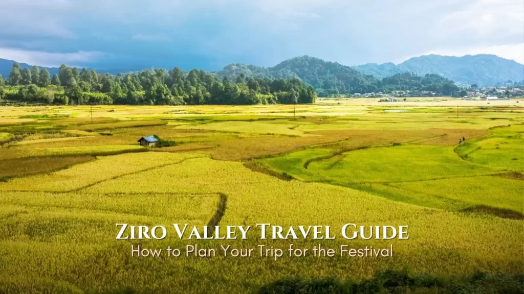 Ziro valley - Ziro music festival
