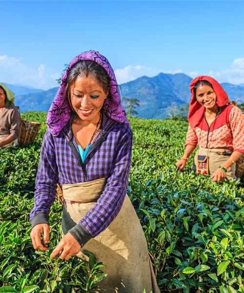 agri tourism in india