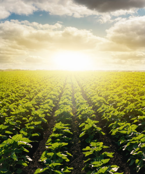 agriculture tourism in india