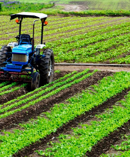 agriculture tourism in india