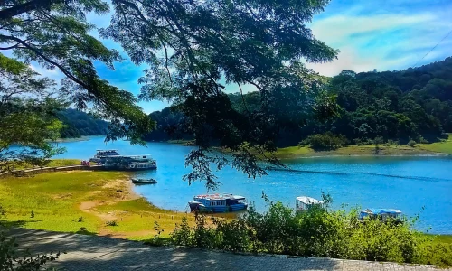 Thekkady Tourism