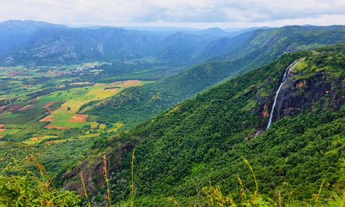Thekkady Tourism