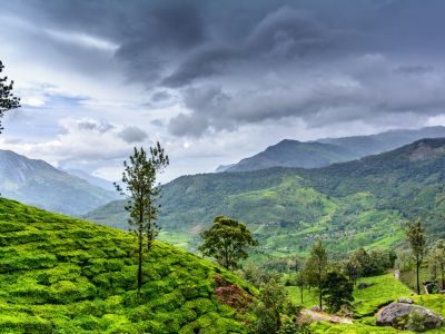 Discover Wayanad India - your ultimate guide to Wayanad tour planning. Explore top places to visit at Wayanad including waterfalls, wildlife sanctuaries, trekking trails & plantation stays. Plan your Wayanad Kerala India adventure today!