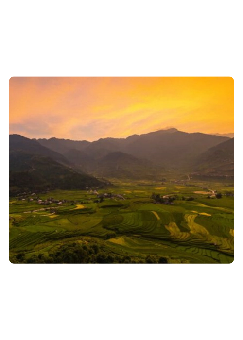 500 X 700 (78)