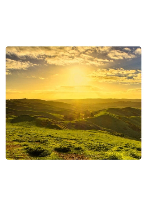 500 X 700 (79) (1)