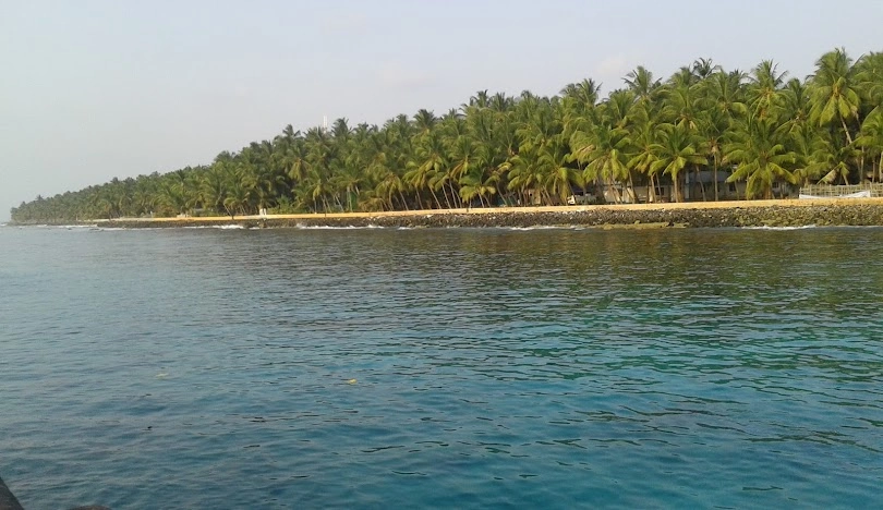 lakashadweep - forest