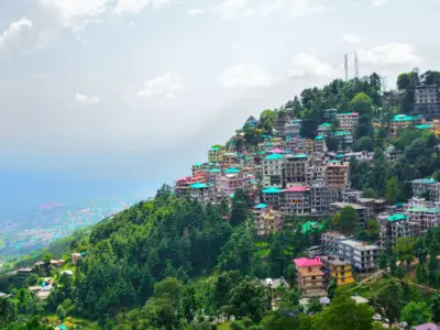 Dharamshala HP scenic mountain view with Dhauladhar range and lush greenery