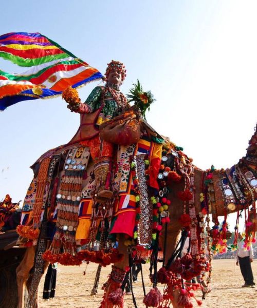 Pushkar Camel Fair 2026 (1)