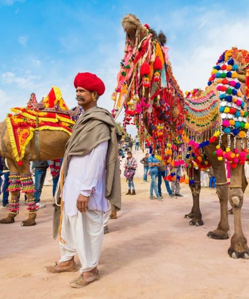 Pushkar Camel Fair 2026 (2)