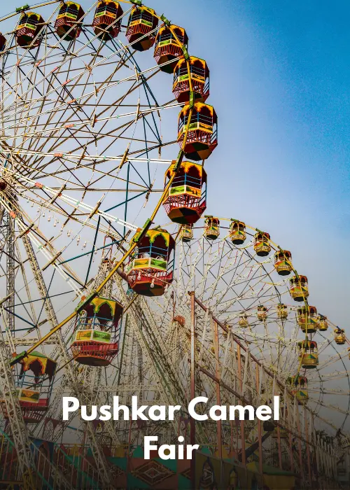 Rajaisthan - Pushkar Camel Fair