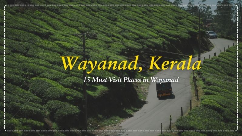 Explore the 15 best places to visit in Wayanad — from Chembra Peak to Edakkal Caves. A real traveller's guide with tips, entry fees & best time to visit